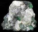 Beryl (Var: Emerald) Crystals in Biotite & Quartz - Bahia, Brazil #44123-2